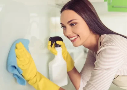 Certified Maid Agency
