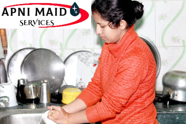 Professional Cook Services for Healthy Daily Meals