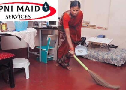 Professional Maid Services