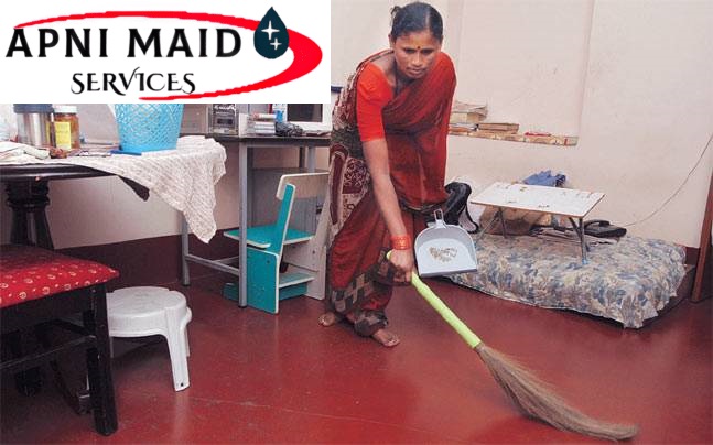 Professional Maid Services
